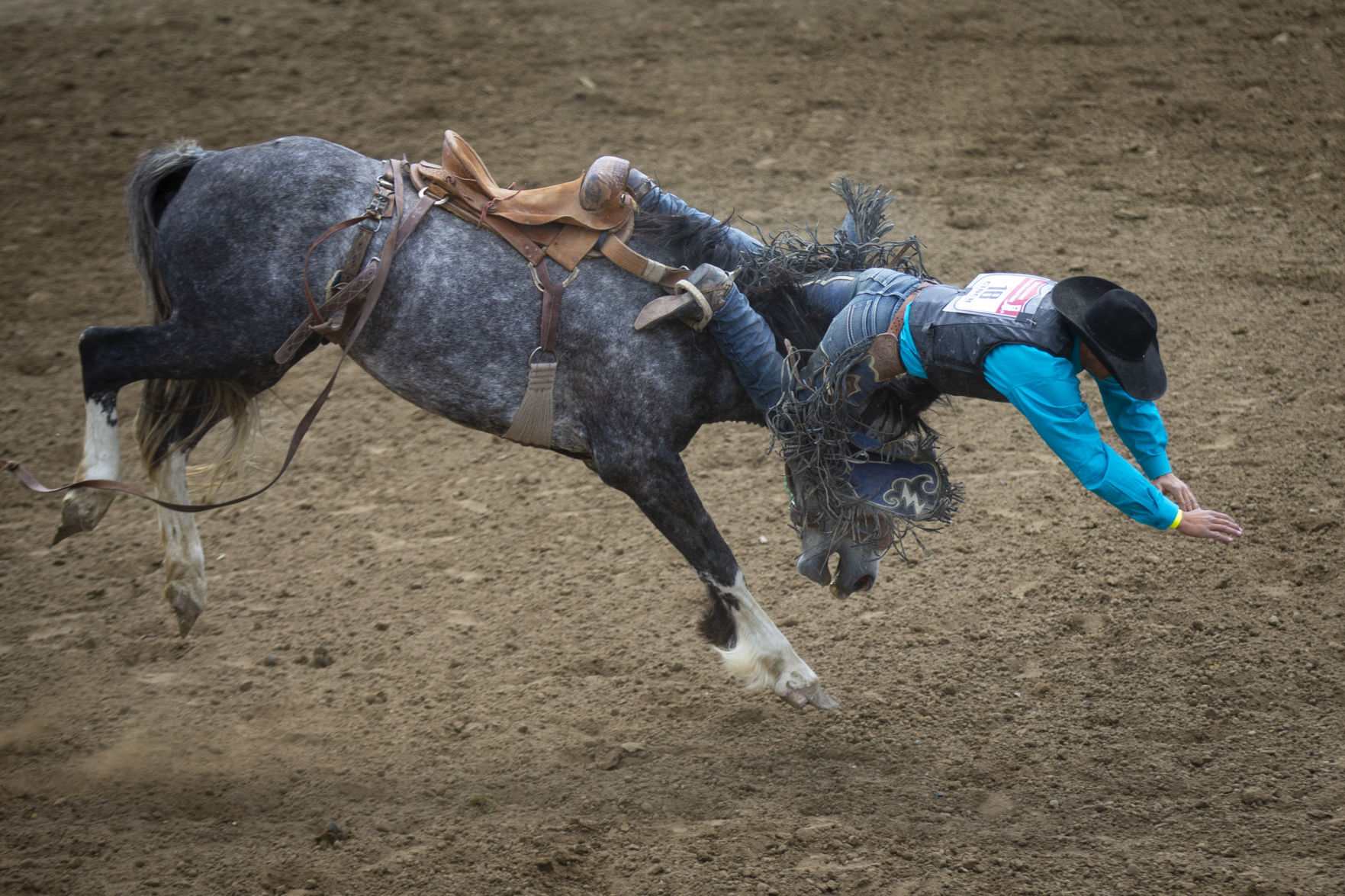 Montana High School Rodeo Association state championships
